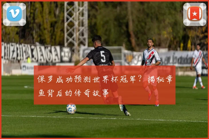 保罗成功预测世界杯冠军？揭秘章鱼背后的传奇故事